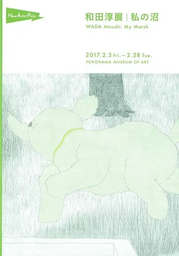 我的沼澤