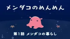 メンダコのめんめん