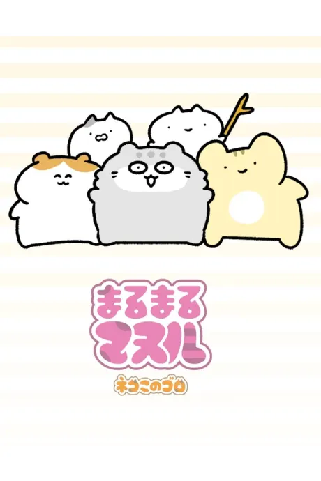 圓滾滾兔猻