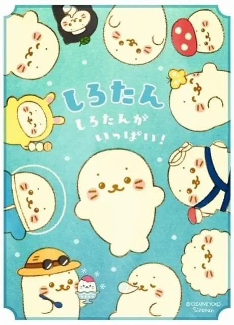海豹小白
