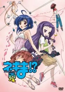 魔法老師!? 夏季特別篇!?
