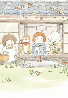 豆豆貓