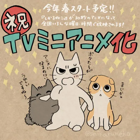 訓斥貓