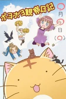 嘟嘟貓觀察日記