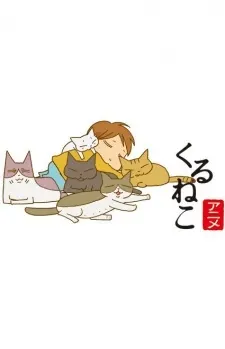 來來貓