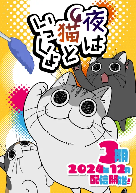 關於養貓我一直是新手 第三季