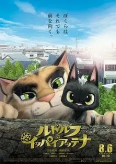 黑貓魯道夫：魯道夫與可多樂
