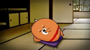 きもしば