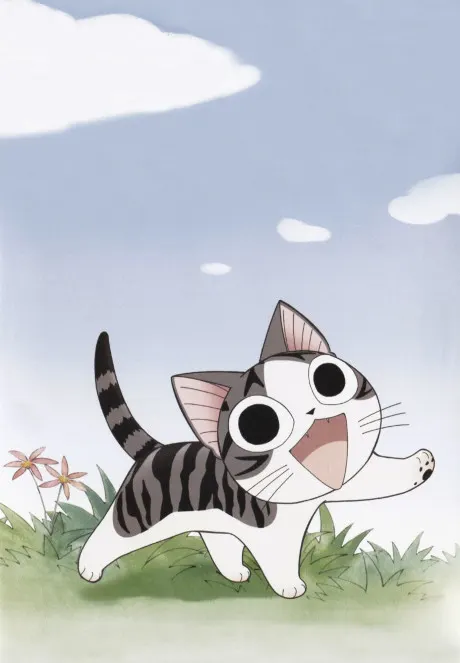 甜甜私房貓